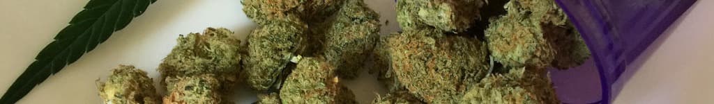 The Benefits of Medical Marijuana for Chronic Pain Management